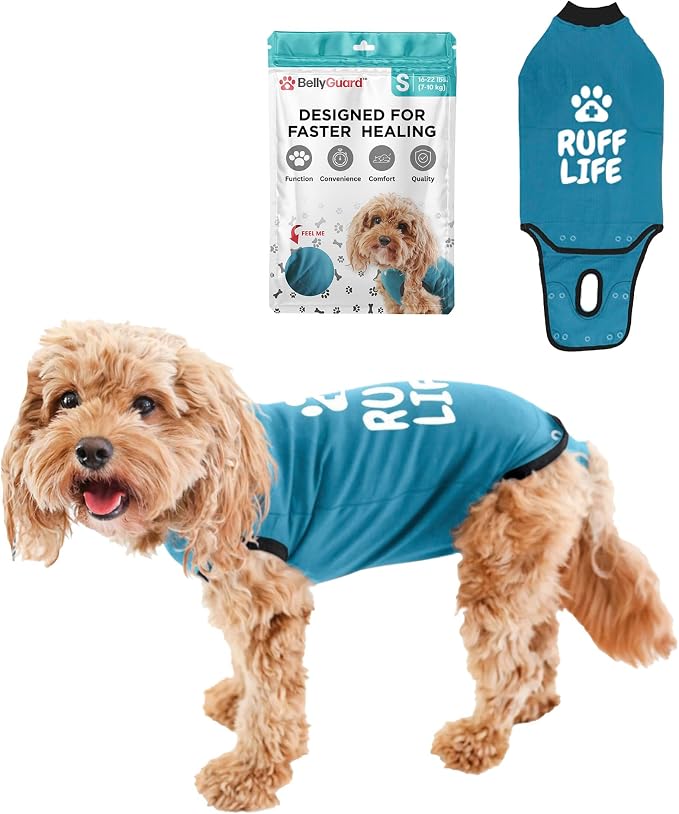 BellyGuard Dog Surgery Recovery Suit, Dog Onesie by BELLYGUARD