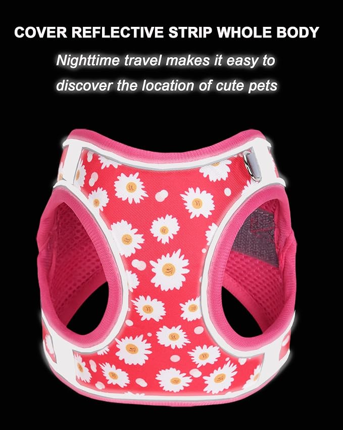XS ROSEO Flower Pattern Dog Harness and Leash Set, No Escape Puppy Harnesses - Image 5