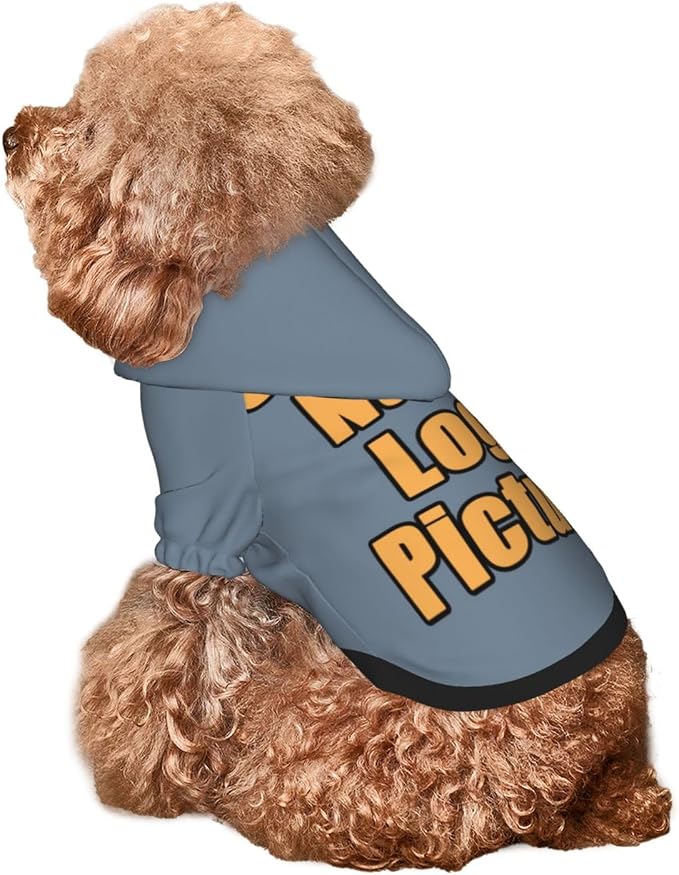 Custom Hoodie for Small Dogs Clothes Pajamas Sweater Personalized Dog Clothes - Image 8