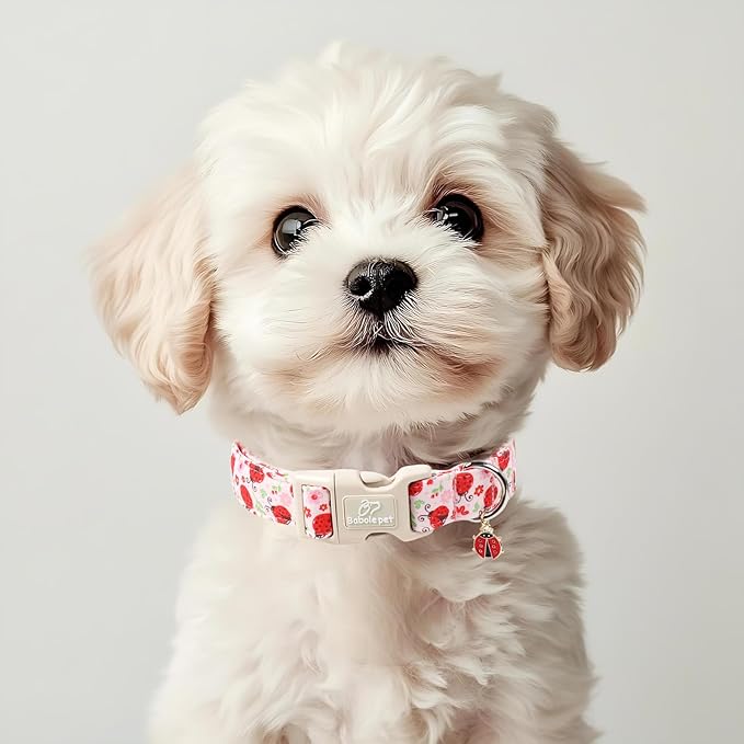 Lucky Ladybug Dog Collar for Puppy Small Dogs - Image 5