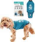 BellyGuard Dog Surgery Recovery Suit, Dog Onesie by BELLYGUARD