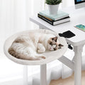 Uross Desk Cat Bed- Beige by Uross