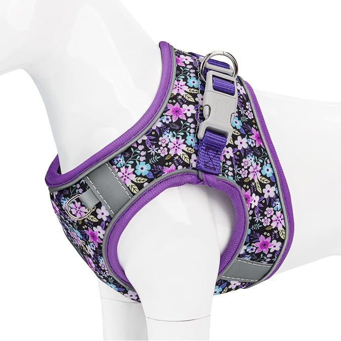 Dog Harness Small Sized Dog by Glanhook