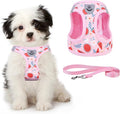KOOLTAIL Dog Harness and Leash Set by KOOLTAIL