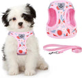 KOOLTAIL Dog Harness and Leash Set by KOOLTAIL
