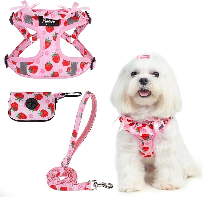 PUPTECK Dog Harness and Leash Set Small Sized, Step in No Pull Adjustable Puppy by PUPTECK