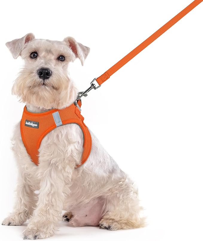 rabbitgoo Dog Harness Medium Sized and Leash Set, Step in Soft Light Puppy Vest by rabbitgoo