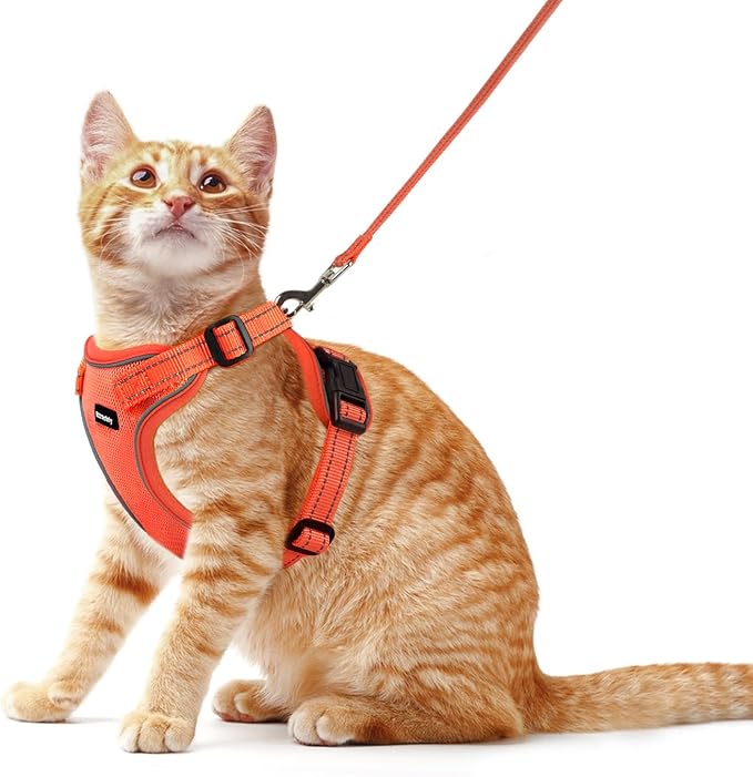 Rttochfy Cat Harness and Leash Set, Adjustable and Reflective Cat Vest by Rttochfy