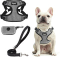 PUPTECK Dog Harness and Leash Set Medium Sized, Step in No Pull Adjustable by PUPTECK