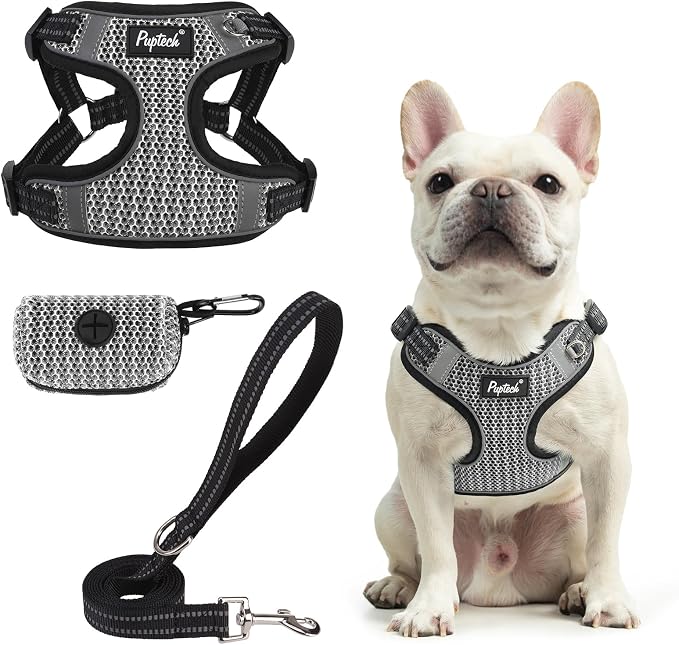 PUPTECK Dog Harness and Leash Set Medium Sized, Step in No Pull Adjustable by PUPTECK