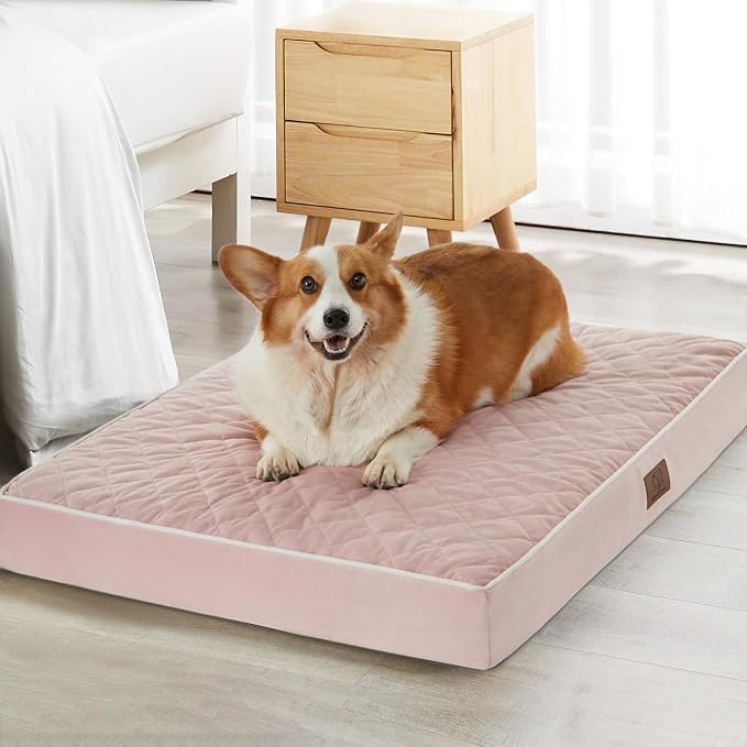 WNPETHOME Orthopedic Big Dog Beds Large Sized Dog, Waterproof Extra Large Dogs by WNPETHOMEPETSHOME