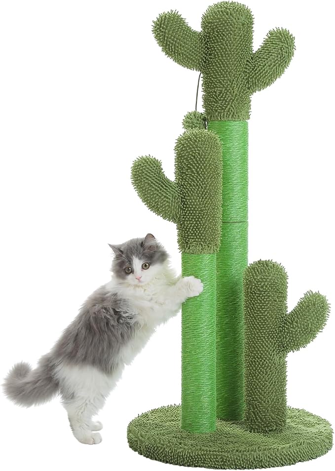 PAWZ Road Cat Scratching Post Cactus Cat Scratcher Featuring by PAWZRoad