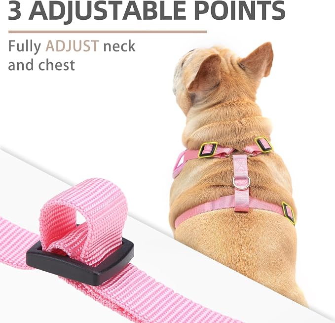 PUPTECK Small Dog Harness and Leash Set, No Pull Adjustable Puppy Cat Harness - Image 2