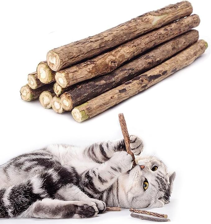 10 PCS Cat Catnip Sticks, Natural Matatabi Silvervine Sticks by WoLover