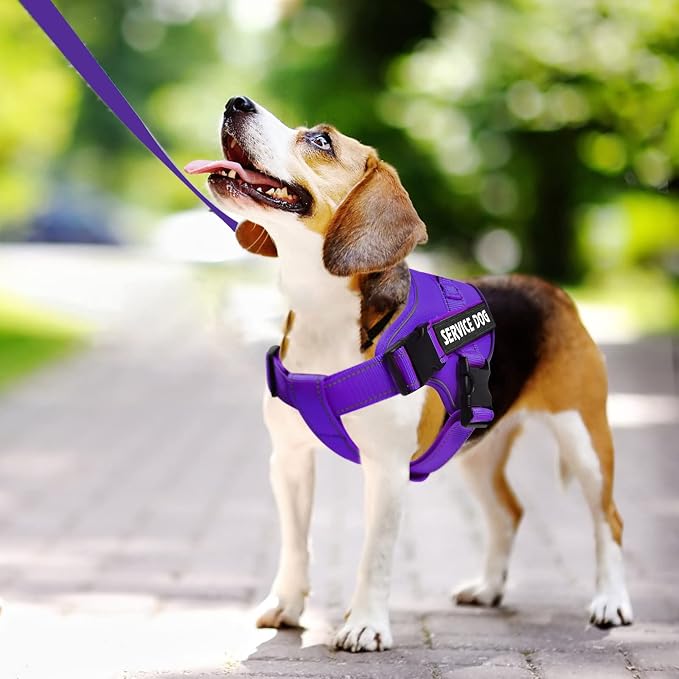 voopet Service Dog Harness, Emotional Support Pet Vest Harness, Reflective - Image 4