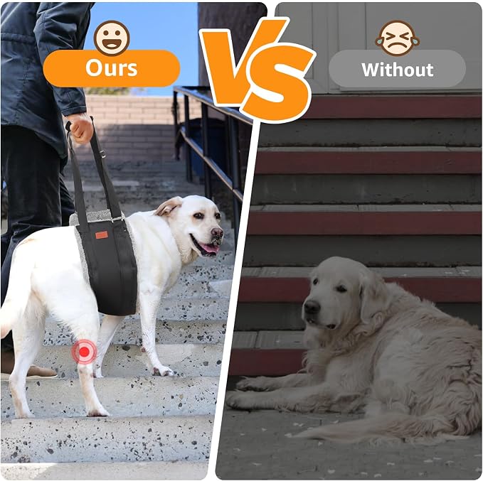 Adjustable Dog Lift Harness, Dog Sling - Image 2