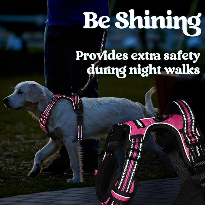 rabbitgoo Dog Harness Medium Sized, No Pull Pet Harness - Image 9
