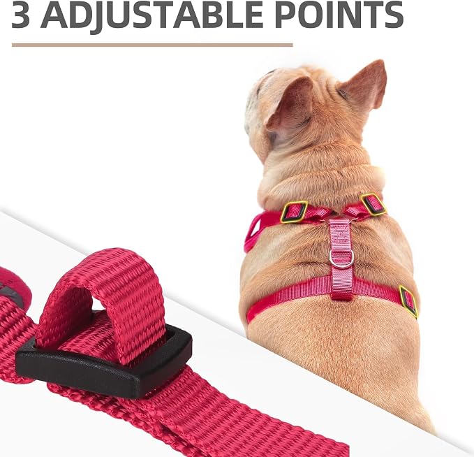 PUPTECK Small Dog Harness and Leash Set, No Pull Adjustable Puppy Cat Harness - Image 2