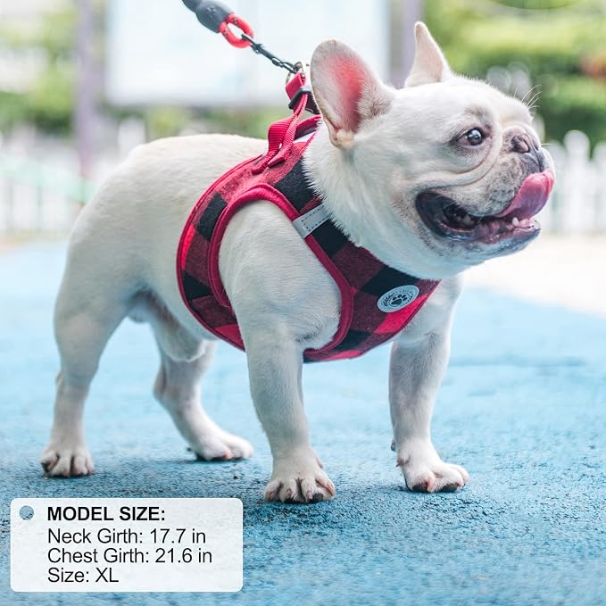 BEAUTYZOO Small Dog Harness and Leash Set, Step in No Choke No Pull Soft Mesh - Image 8