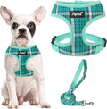 PUPTECK Soft Mesh Dog Harness and Leash Set Pet Puppy Cat Comfort Padded Vest by PUPTECK