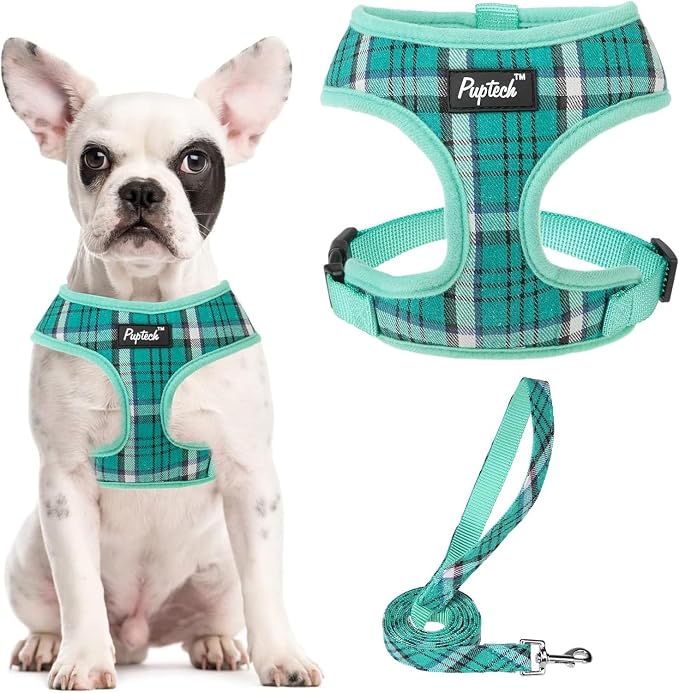 PUPTECK Soft Mesh Dog Harness and Leash Set Pet Puppy Cat Comfort Padded Vest by PUPTECK