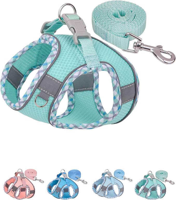 Petank Dog Harness for Small Medium Dogs No Pull, Puppy Harness and Leash Set by Petank