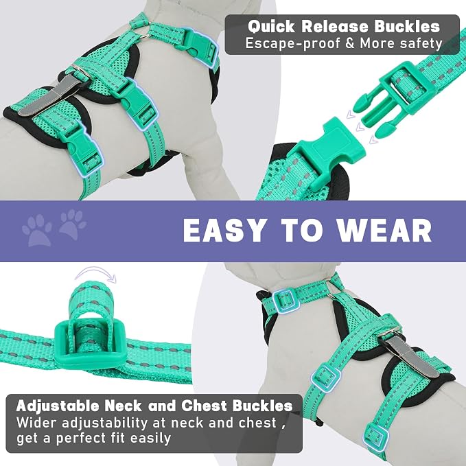 Cat Harness for Walking, Escape Proof Cat Harness and Leash Set - Image 5