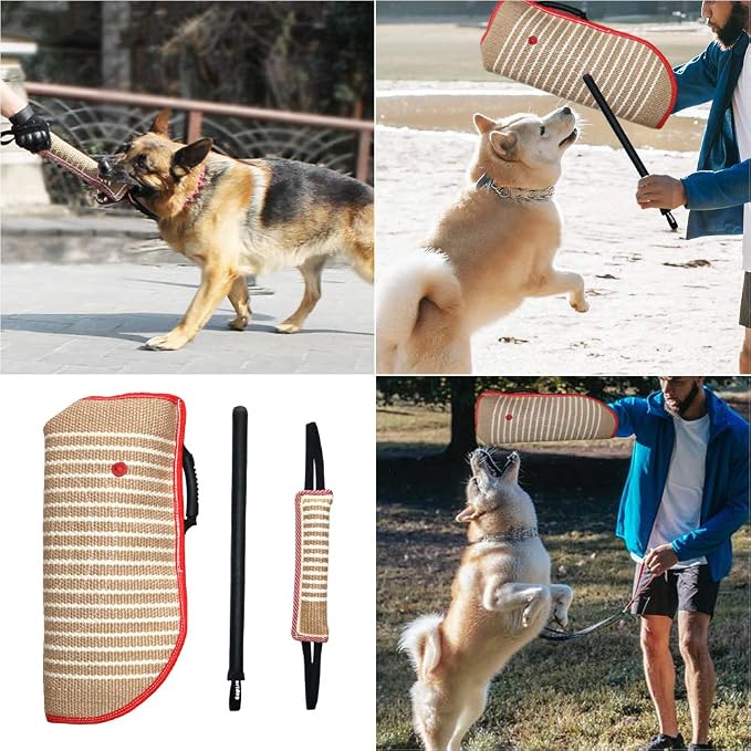DGSL Dog Training Set - Image 5