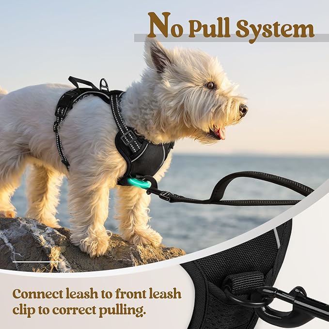 rabbitgoo Dog Harness No Pull - Image 5