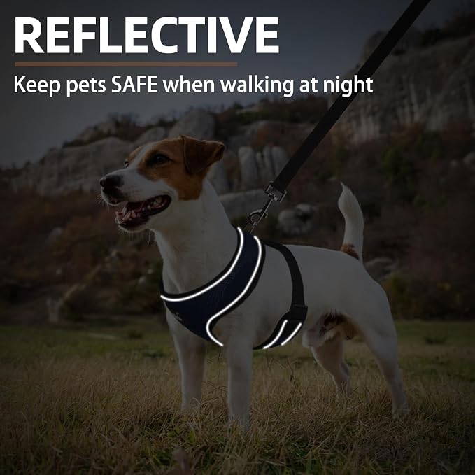 PUPTECK Soft Mesh Dog Harness and Leash Set Pet Puppy Cat Comfort Padded Vest - Image 6