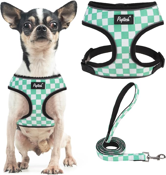 PUPTECK Soft Mesh Dog Harness and Leash Set Pet Puppy Cat Comfort Padded Vest by PUPTECK