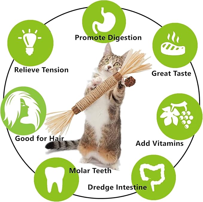 Cat Toys 21Pack Silvervine Chew Stick Kitten Treat Catnip Toy Kitty Natural - Image 3
