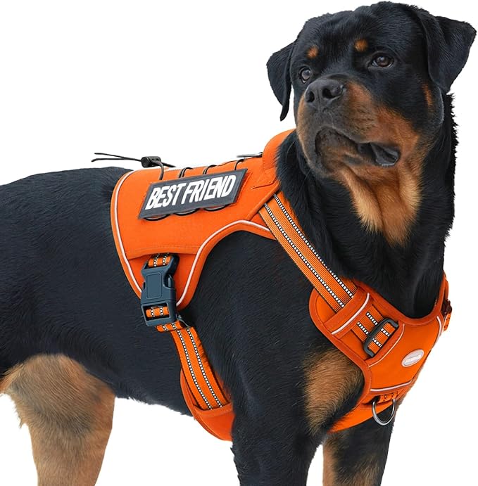 AUROTH Tactical Dog Harness for Large Dogs No Pull Adjustable Pet Harness by AurothPets