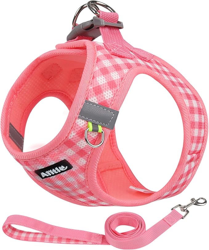 AIITLE Small Dog Harness and Leash Set, Step in No Pull Pet Harness, Soft Mesh by AIITLE-FORPETSBETTERLIFE