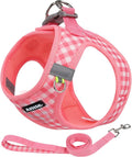 AIITLE Small Dog Harness and Leash Set, Step in No Pull Pet Harness, Soft Mesh by AIITLE-FORPETSBETTERLIFE