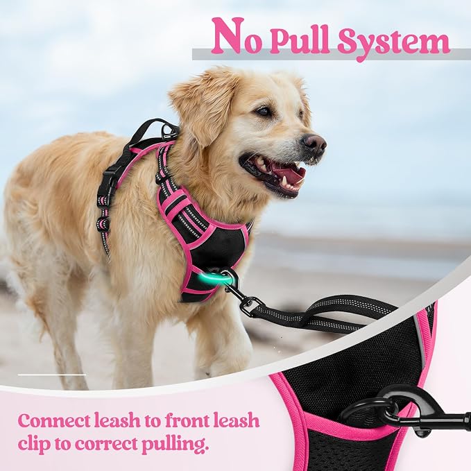rabbitgoo Dog Harness No Pull - Image 5