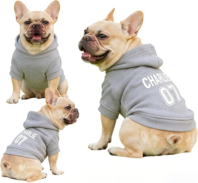 Custom Name Dog Hoodie, Personalized Pet Name Sweatshirt - Image 5