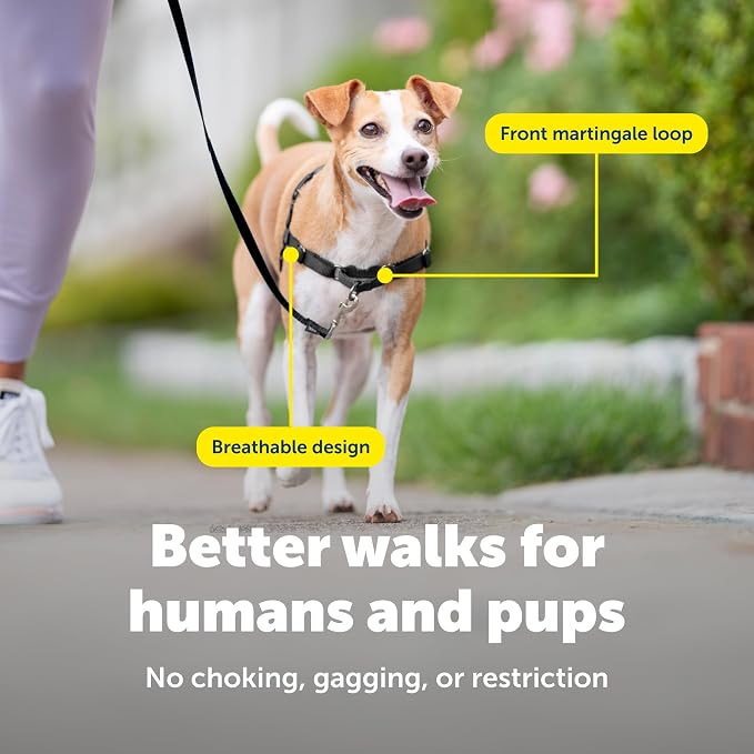 PetSafe Easy Walk Harness for Dogs - Image 6