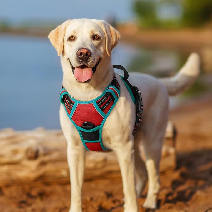 rabbitgoo Dog Harness No Pull - Image 7