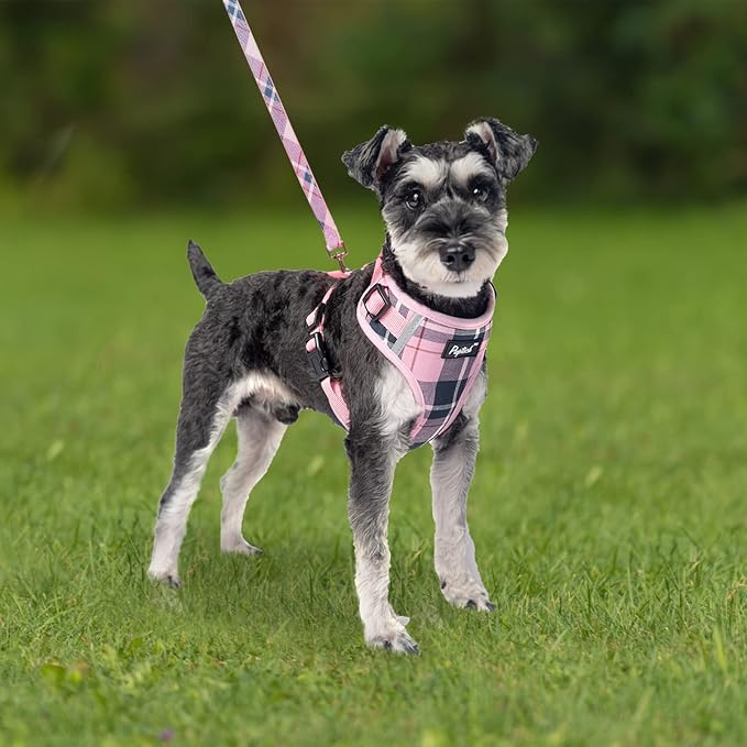PUPTECK Small Dog Harness and Leash Set, No Pull Adjustable Puppy Cat Harness - Image 6