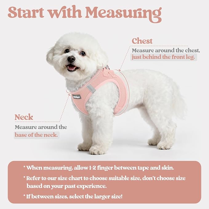rabbitgoo Dog Harness Small Sized and Leash Set, Step in Soft Light Puppy Vest - Image 2