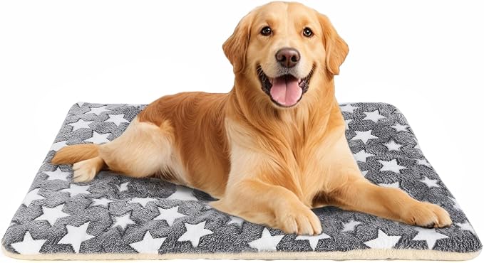 Dog Bed mat Pet mat Dog Box mat Machine Washable Grey by Unknown