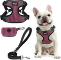 PUPTECK Dog Harness and Leash Set Small Sized, Step in No Pull Adjustable Puppy by PUPTECK