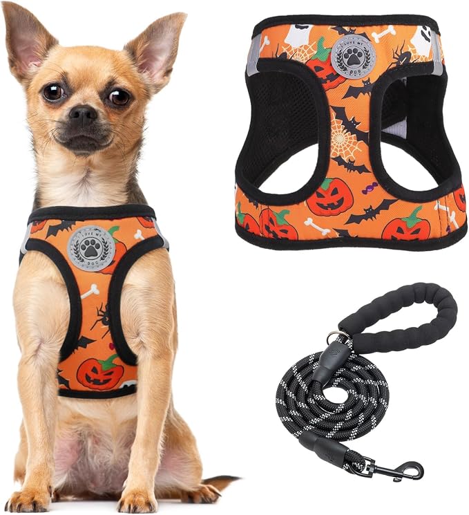 BEAUTYZOO Step in Dog Harness and Leash Set, Floral Pattern Reflective Dog by BEAUTYZOO