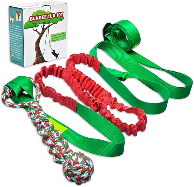 LOOBANI Outdoor Bungee Tug Toy, Dog Toy Hanging from Tree by LOOBANI