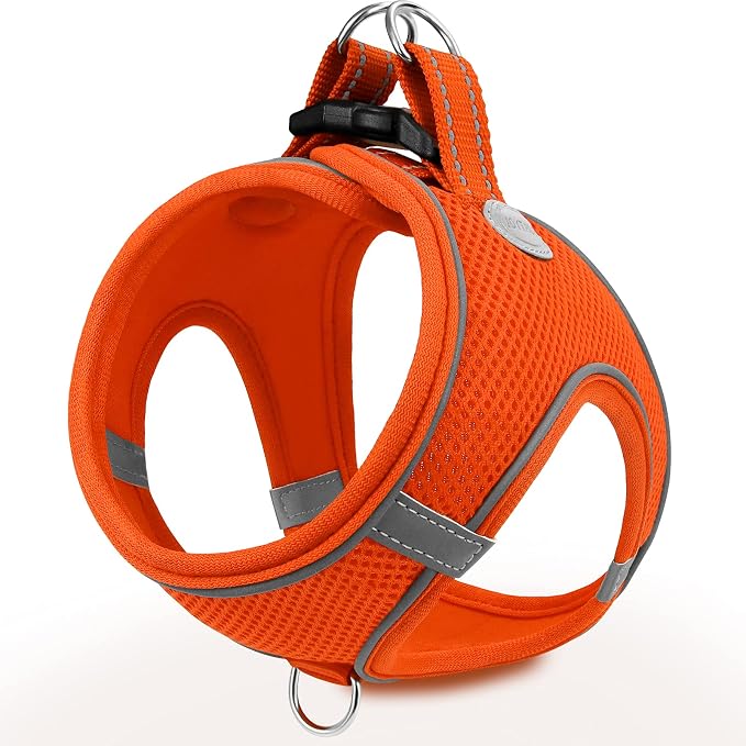 Joytale Small Dog Harness, Breathable Mesh Step-in Vest, Reflective Soft Padded by Joytale