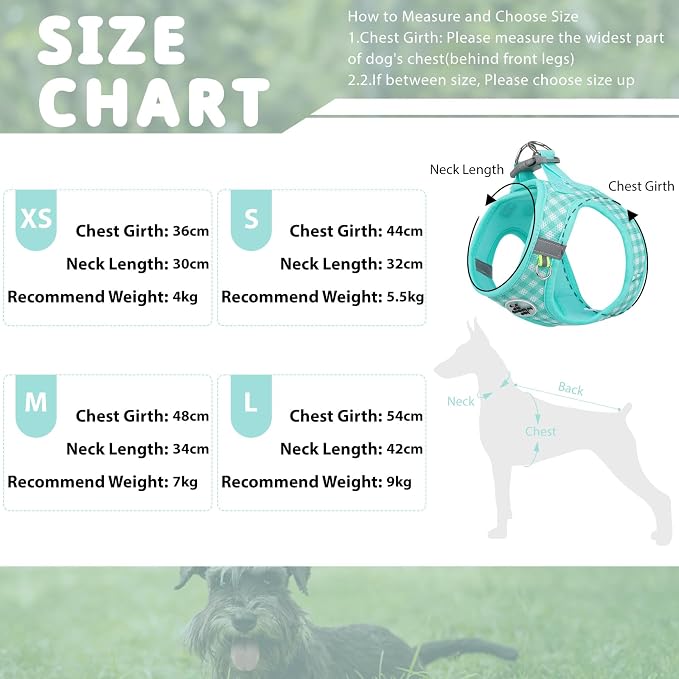 Gyuzh Dog Harness and Leash Set, Soft Mesh Breathable Small Dog Harness - Image 2