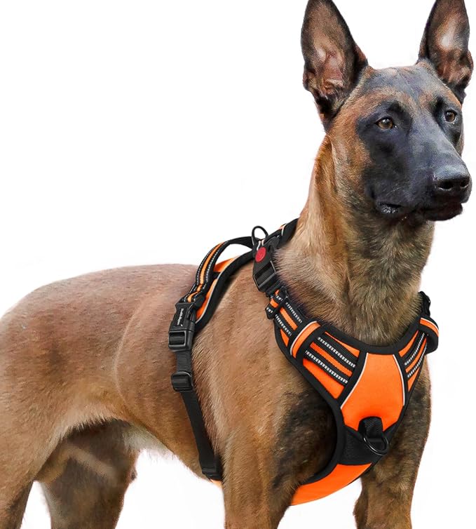 rabbitgoo Dog Harness for Large, No Pull Pet Harness by rabbitgoo