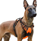 rabbitgoo Dog Harness for Large, No Pull Pet Harness by rabbitgoo
