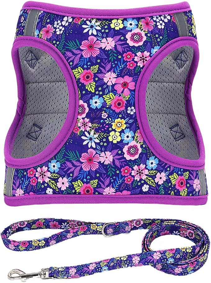 Moonpet Step in Dog Harness Leash Set- All Weather Reflective No-Pull Floral by MOONPET